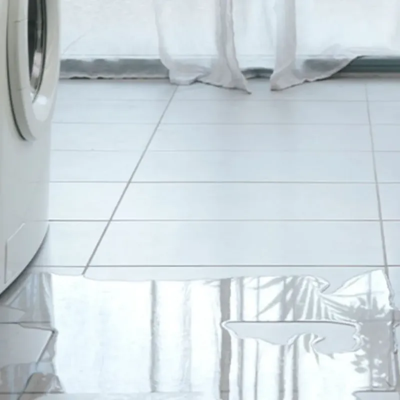 Appliance Leak Cleanup in Longwood, FL